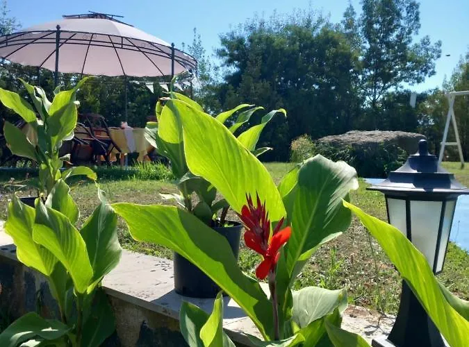 Sunset Hotel Lozenets